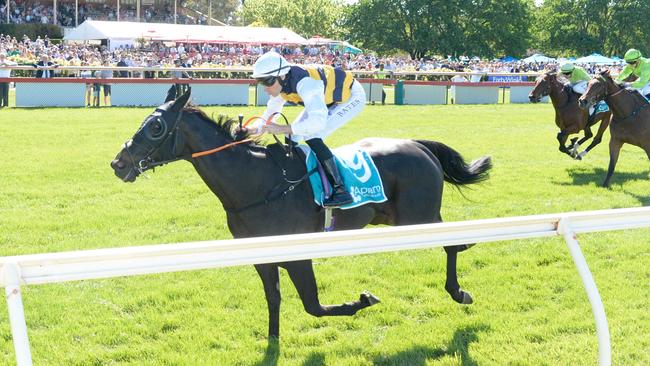 Sea King stormed into Melbourne Cup contention by bolting home in the Bendigo Cup. Picture: Racing Photos