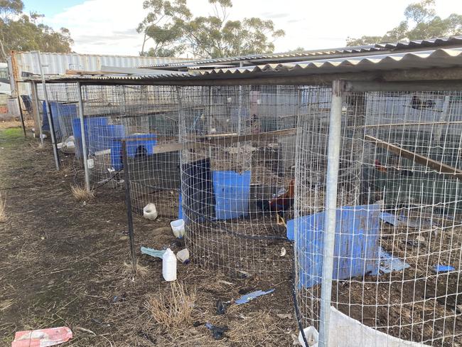 Chicken cages at the site. Picture: RSPCA