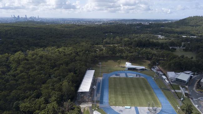 Some of the native forest surrounding the QSAC complex. No Byline Please.