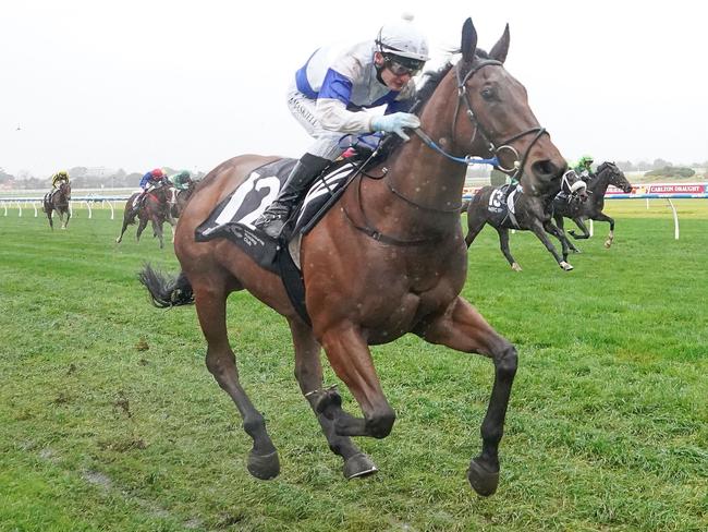 Little Jack ridden by Jason Maskiell wins the Become an MRC Member Handicap at Caulfield Racecourse on June 29, 2024 in Caulfield, Australia. (Photo by Scott Barbour/Racing Photos via Getty Images)