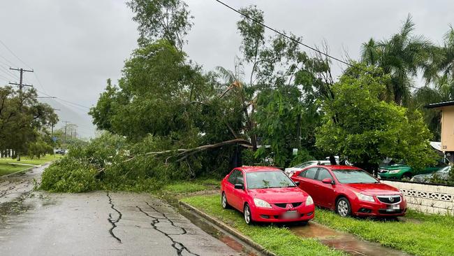 A family on Renecol Avenue in Rasmussen swiftly moved their car from beneath a fallen tree.