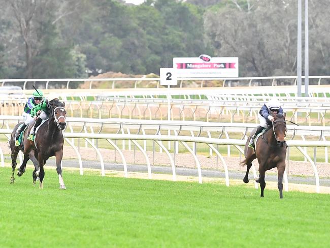 Warparty ridden by Jordan Childs wins the bet365 Maiden Plate at Seymour Racecourse on July 22, 2024 in Seymour, Australia. (Photo by Pat Scala/Racing Photos)