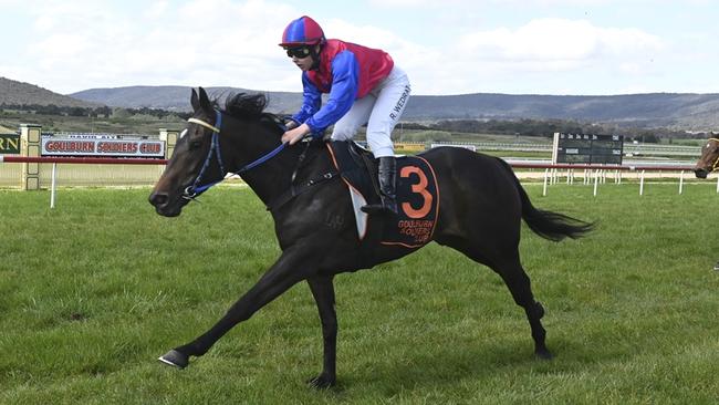 Almost Persuaded is looking to maintain her perfect record at the track and distance. Picture: Bradley Photos