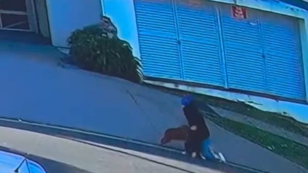 A woman and her dog is attacked by an off-lead dog in Hawthorne on Wednesday. Photo: Supplied