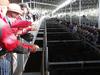 Imminent dry impacting cattle market