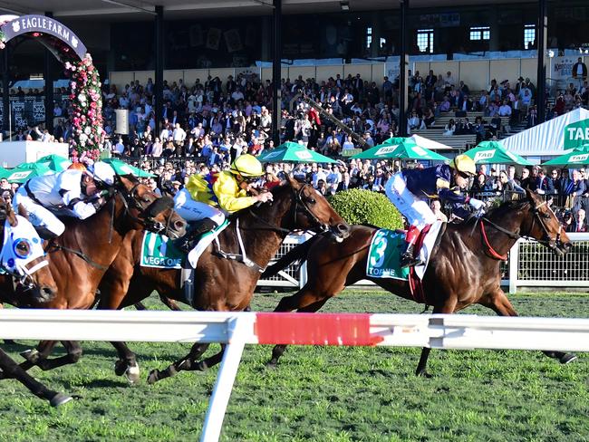 Tofane (Craig Williams) beats Vega One (Rachel King) in the Group 1 Stradbroke Handicap at Eagle Farm. Picture: Grant Peters/Trackside Photography