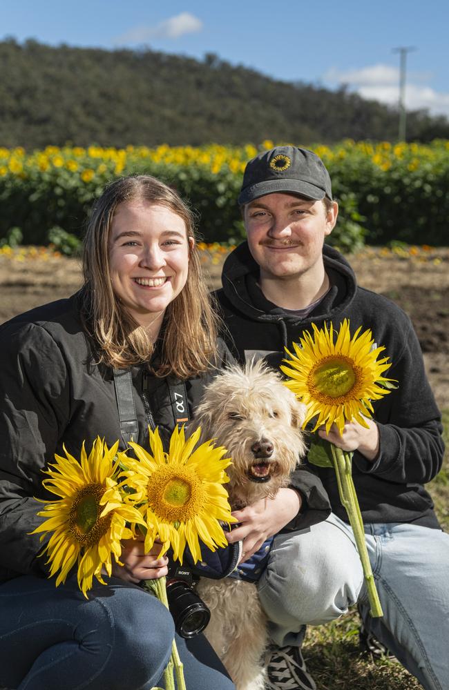 Lexi Paulsen and Christian Hess with Honey at the picnic with the sunflowers event hosted by Ten Chain Farm, Saturday, June 8, 2024. Picture: Kevin Farmer