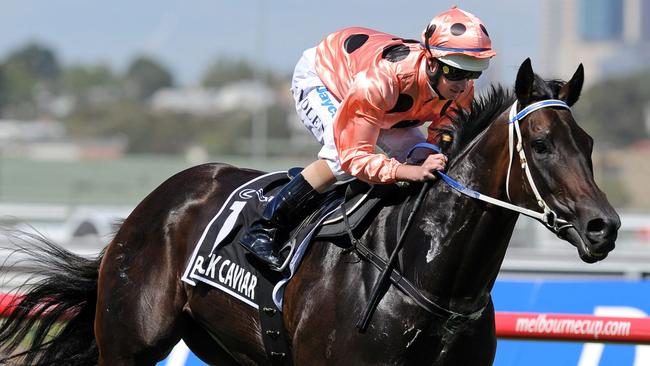 Black Caviar Flemington. Australia Cup Day. Black Caviar, with Luke Nolen onboard, wins 10 straight after blitzing in the Newmarket Handicap.