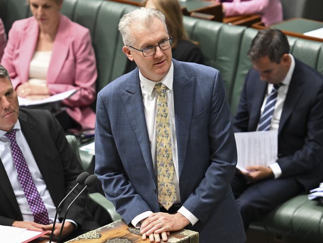 CANBERRA, AUSTRALIA  - NewsWire Photos - November 18, 2024:  Leader of the House, Minister for Home Affairs and Minister for the Arts, Tony Burke during Question Time at Parliament House in Canberra. Picture: NewsWire / Martin Ollman