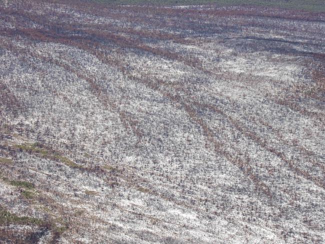 Huge parts of the island have been completely destroyed. Picture: Sarah Marshall
