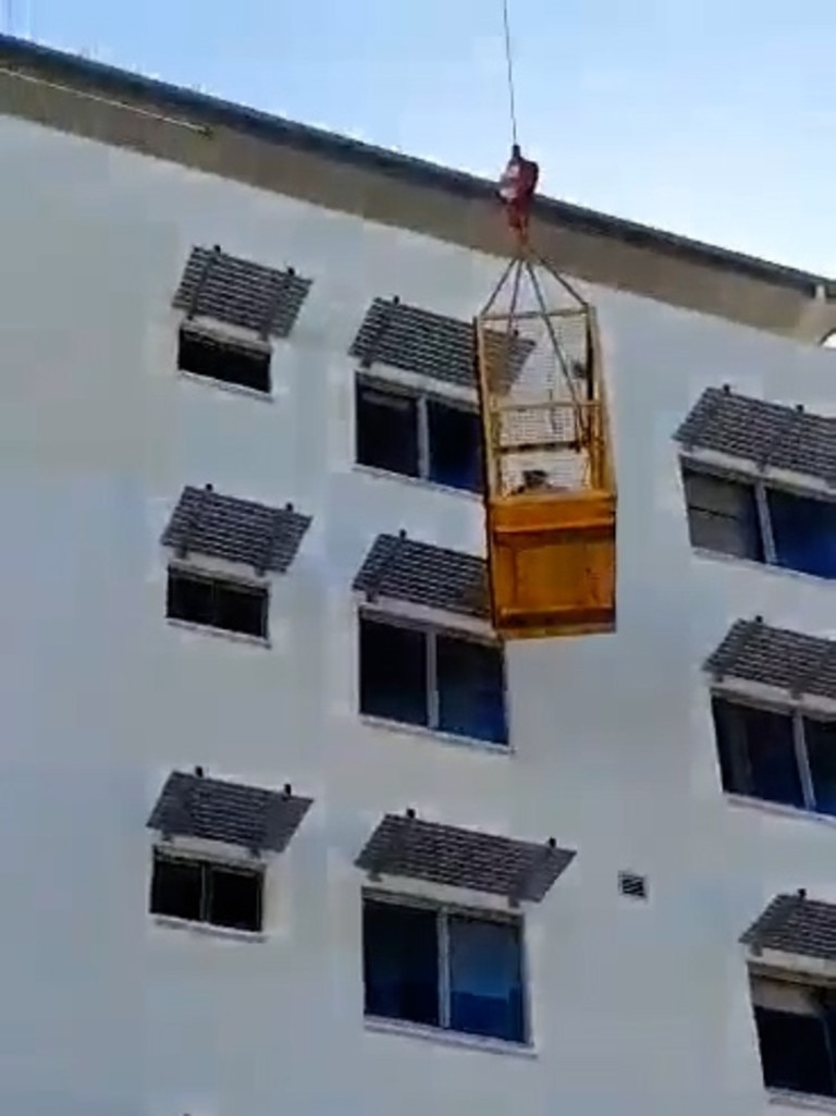 A crane was called in to rescue a cat stuck on a ledge. Picture: SUPPLIED