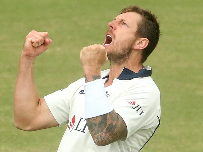 Victoria’s James Pattinson celebrates taking the wicket of NSW batsmans Moises Henriques in the Sheffield Shield final. Picture: AAP