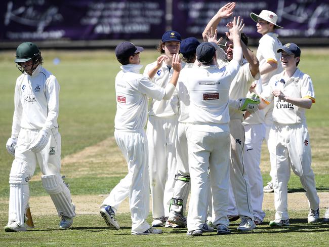 Balwyn players celebrate a wicket. Picture: Andy Brownbill