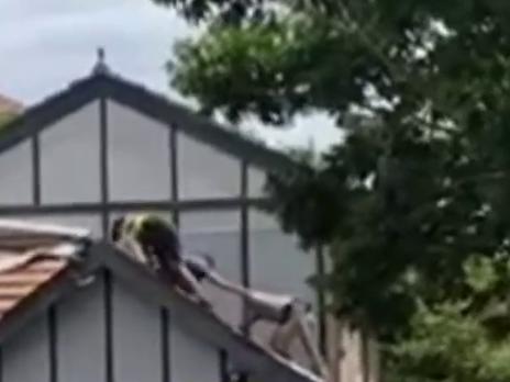 The third tradesman, who is seen slipping from the roof, is in hospital.