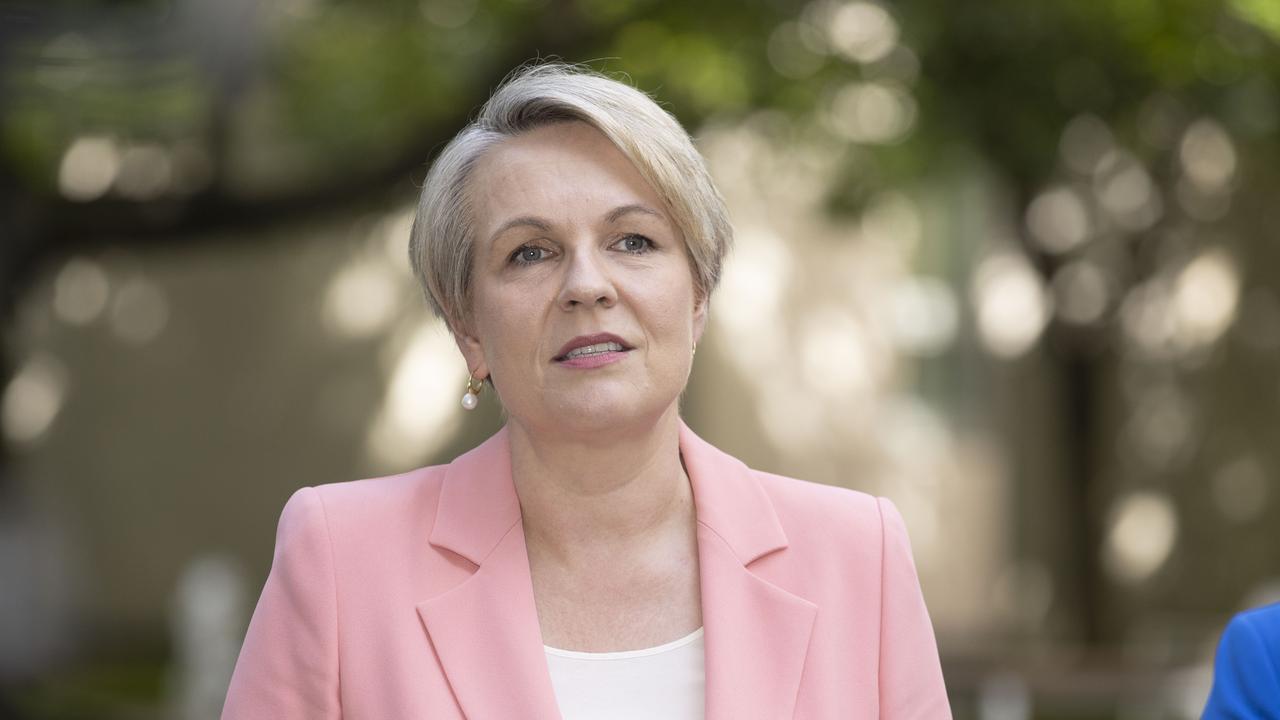 Environment Minister Tanya Plibersek. Picture: NCA NewsWire / Gary Ramage