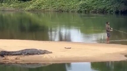 A fisho has been caught on camera flicking lures just metres from a huge croc on the Russell River.