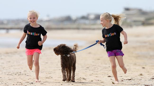 Twins Gypsy and Lulu, age 7, have their labradoodle Kramer under control on Chelsea Beach. Pic: Michael Klein