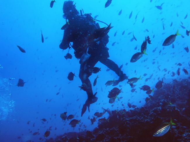 Scuba diving , generic image . 24/9/05 . Picture: TROY SNOOK