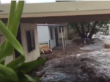 High tides inundating houses at Port Broughton. Picture: Sonny Coombs