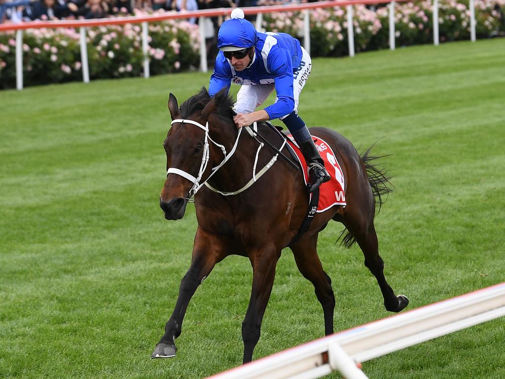 For punters who only tune into the races once a year, Winx is probably the only name they know.