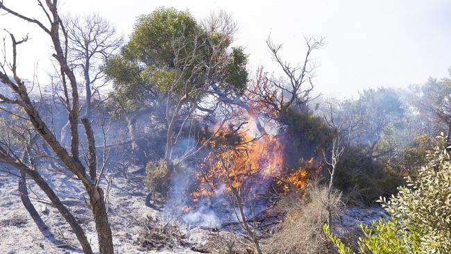 Areas of bushland still burning today on Dolphin Sands Rd. Picture: RICHARD JUPE