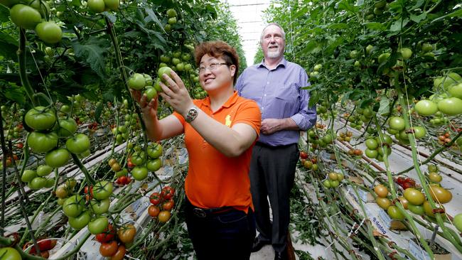 Chinese Australia Food Alliance director Sally Zou and Jim Kelly, managing director of Adelaide-based agricultural organisation Arris.