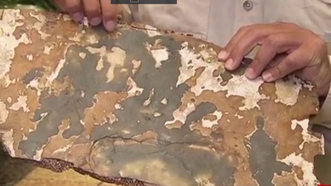 US adventurer Blaine Gibson with ‘the most significant’ piece of suspected MH370 debris to date. The fragment is believed to show burn marks, indicating a fire on board. Picture: 7 News