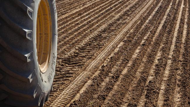 China has imposed an 80 per cent tariff on Australia barley. Picture: Zoe Phillips