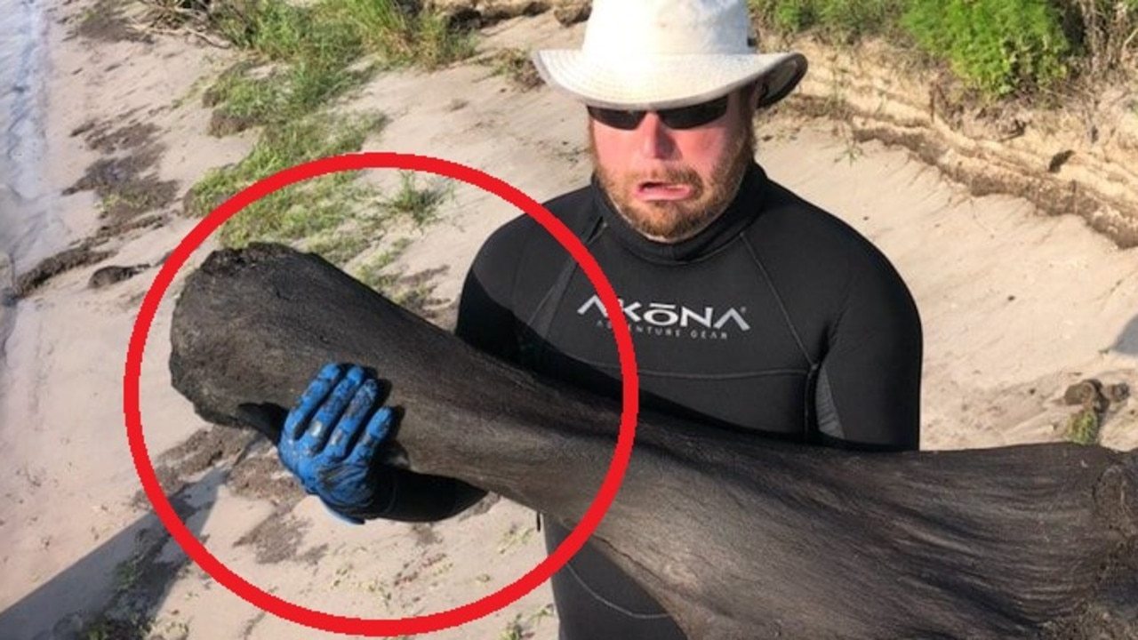 Florida scuba divers find Ice Age mammoth bone in river | escape.com.au