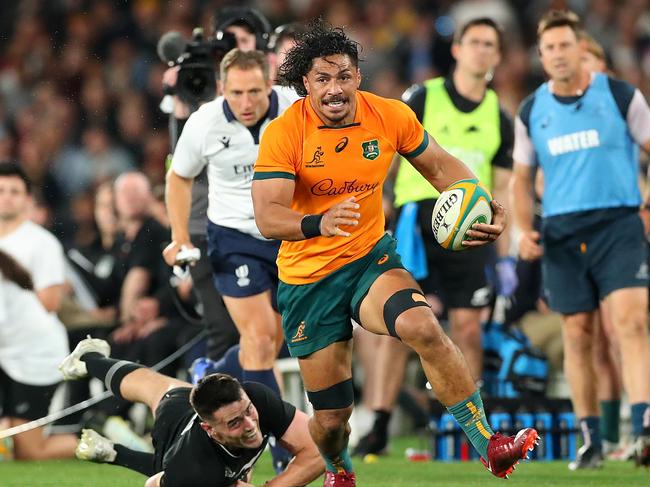MELBOURNE, AUSTRALIA - SEPTEMBER 15: Pete Samu of the Wallabies makes a break during The Rugby Championship & Bledisloe Cup match between the Australia Wallabies and the New Zealand All Blacks at Marvel Stadium on September 15, 2022 in Melbourne, Australia. (Photo by Kelly Defina/Getty Images)