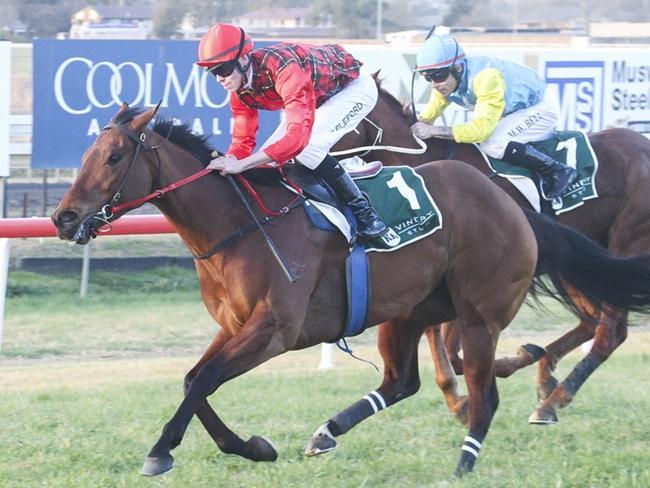 I'm Not Slew can bounce back from a handy run in town when she heads to Tamworth on Sunday. Picture: Bradley Photos