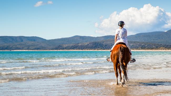 Horseriding on Bakers Beach, Narawntapu National Park. Picture: S. Group