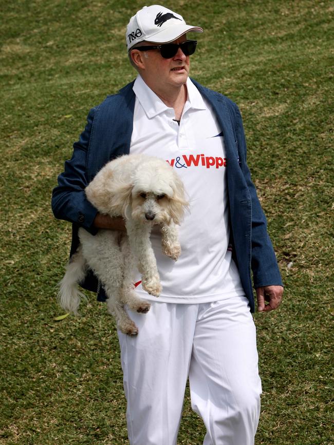 Mr Albanese’s love for his dog is well known, with the Cavoodle often accompanying him on official duties. Picture: NewsWire / Damian Shaw