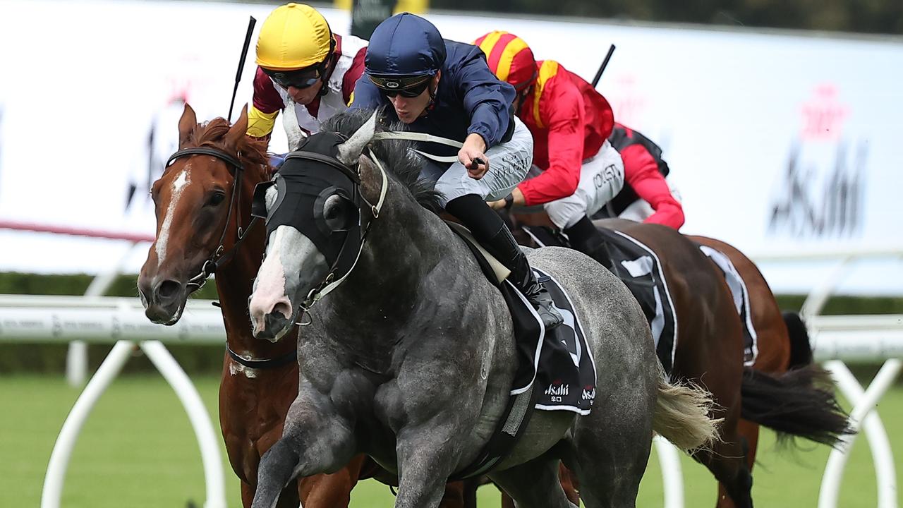 Public Attention will race in the $3.5m The Kiwi slot race for Ozzie Kheir. Picture: Jeremy Ng/Getty Images