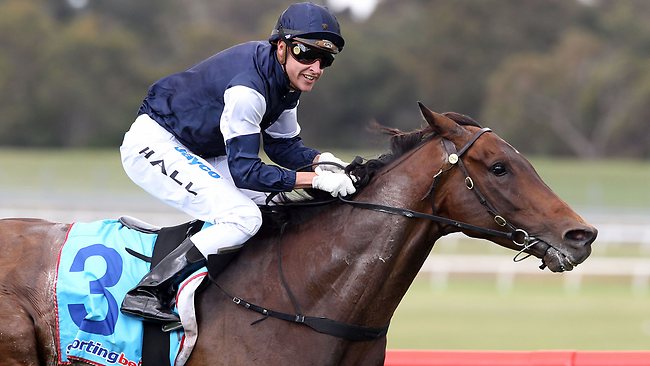 Jockey Nick Hall and godfather Lloyd Williams teamed up to claim the ...