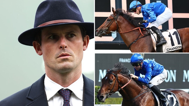 Trainer James Cummings saddles up Zardozi (top right) and Tom Kitten at Randwick on Saturday.