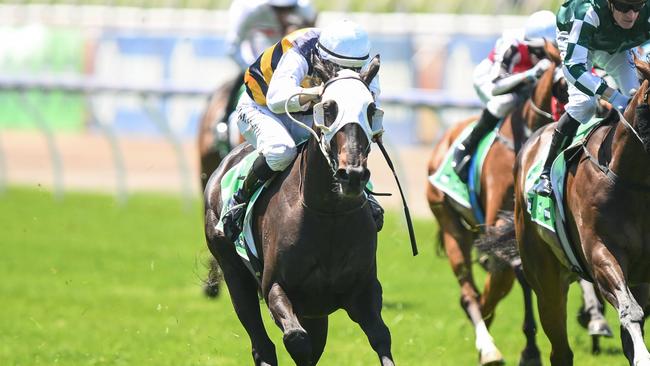 Warmonger winning at Flemington last November. Picture: Morgan Hancock/Racing Photos