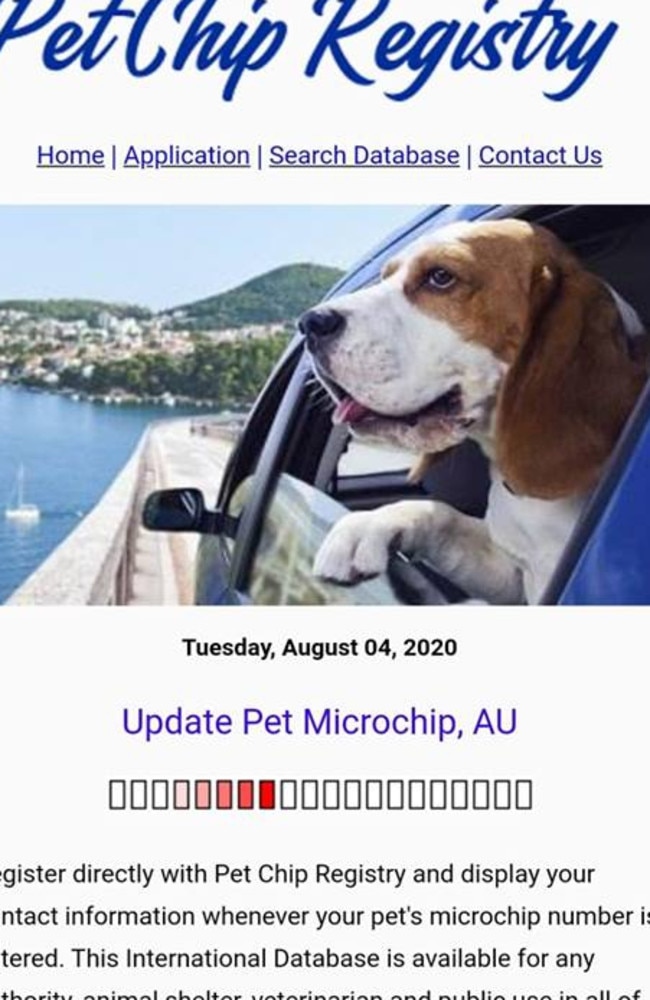 Australian pet hot sale microchip registry