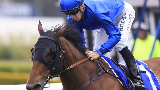 Savatiano after winning the Hot Danish Stakes at Rosehill. Picture: Getty Images