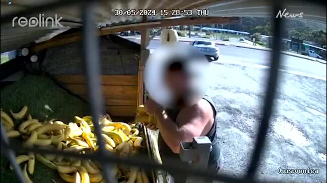 Maserati driver allegedly caught stealing bananas