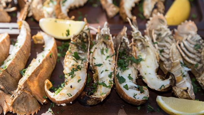 The Moreton Bay bug is just one of the culinary gems in the Moreton Bay Region.