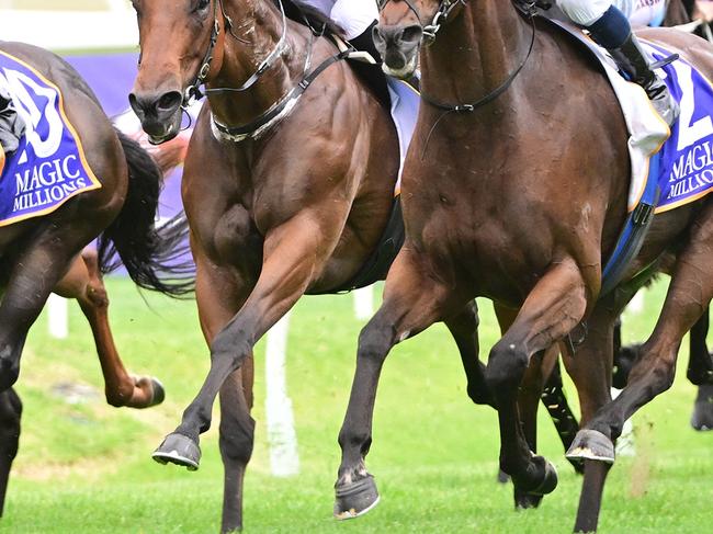 Chad Schofield explodes to victory in the Listed Falvelon on King Of Sparta at Doomben. Picture: Grant Peters - Trackside Photography