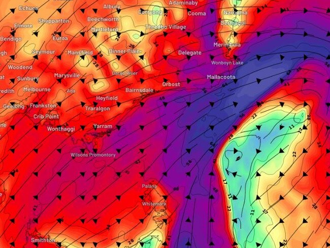 Wind gusts of up to 100 km/h are expected in parts of Victoria and NSW. Photo: WeatherZone