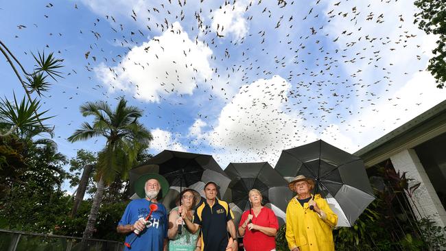 Alice River residents Barry Turville, Leanne Moore, Wade Moore, Helen Townsend and Tony Townsend pictured in one of the back yards which has been infested by flying foxes. Picture: Shae Beplate.