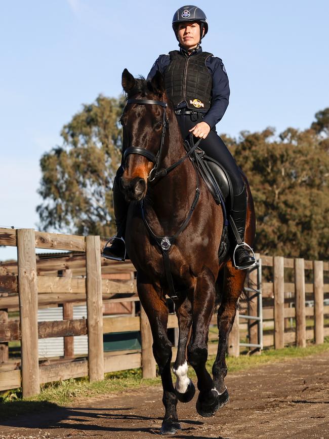 London Fog and Sen-Constable Gemma Kyte trot around the Victoria Police Mounted Branch in Attwood. Picture: Alex Coppel