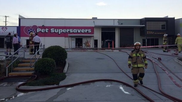 Animals perish in Kallangur pet store fire