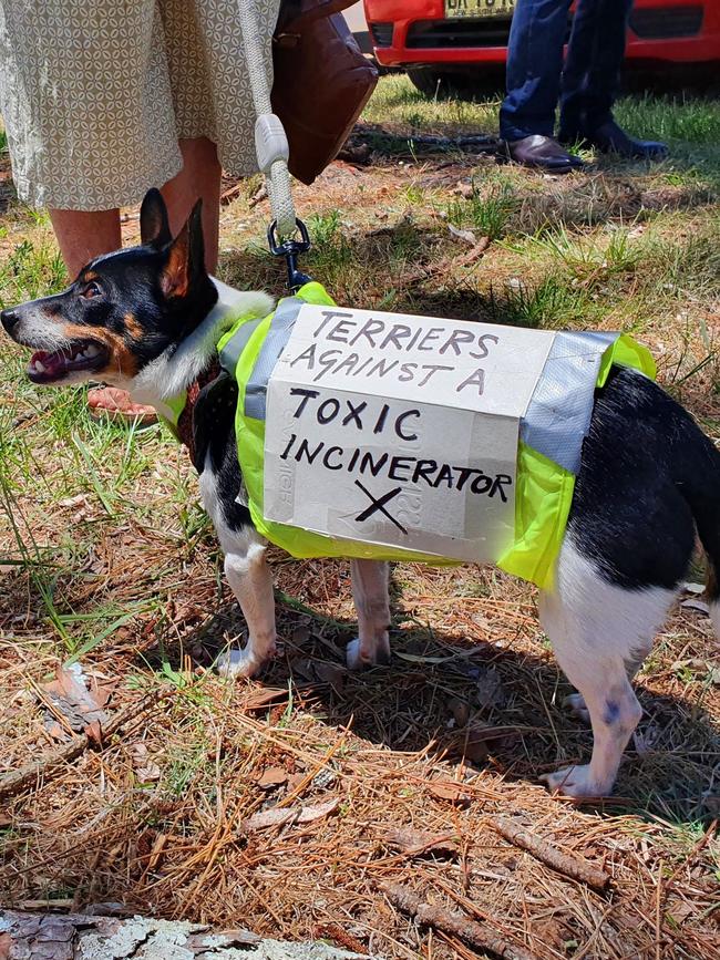 Residents against the Richmond Valley Incinerator protesting. Picture: Contributed