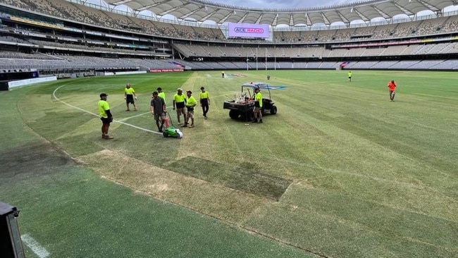 New turf has been put in at Perth's Optus Stadium. Photo: Twitter.