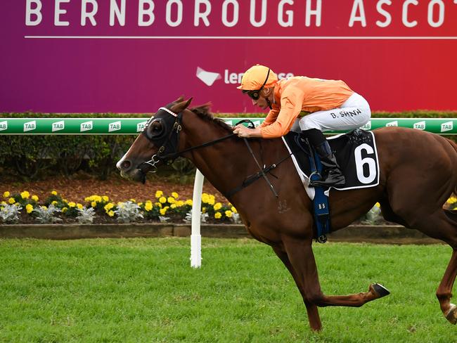 Jockey Blake Shinn rides Tyzone to victory in race 7, the Bernborough Ascot BRC Sprint, during the Doomben Cup race day at Doomben in Brisbane, Saturday, May 18, 2019. (AAP Image/Albert Perez)