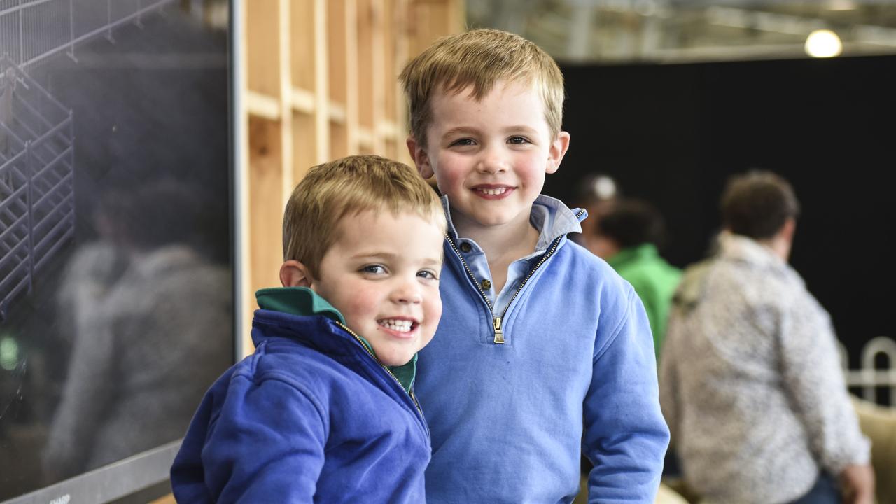 Oscar McLauchlan, 3, and Beau McLauchlan, 4 from Whitemore, Tasmania, enjoying the Royal Melbourne Show. Photo: Dannika Bonser